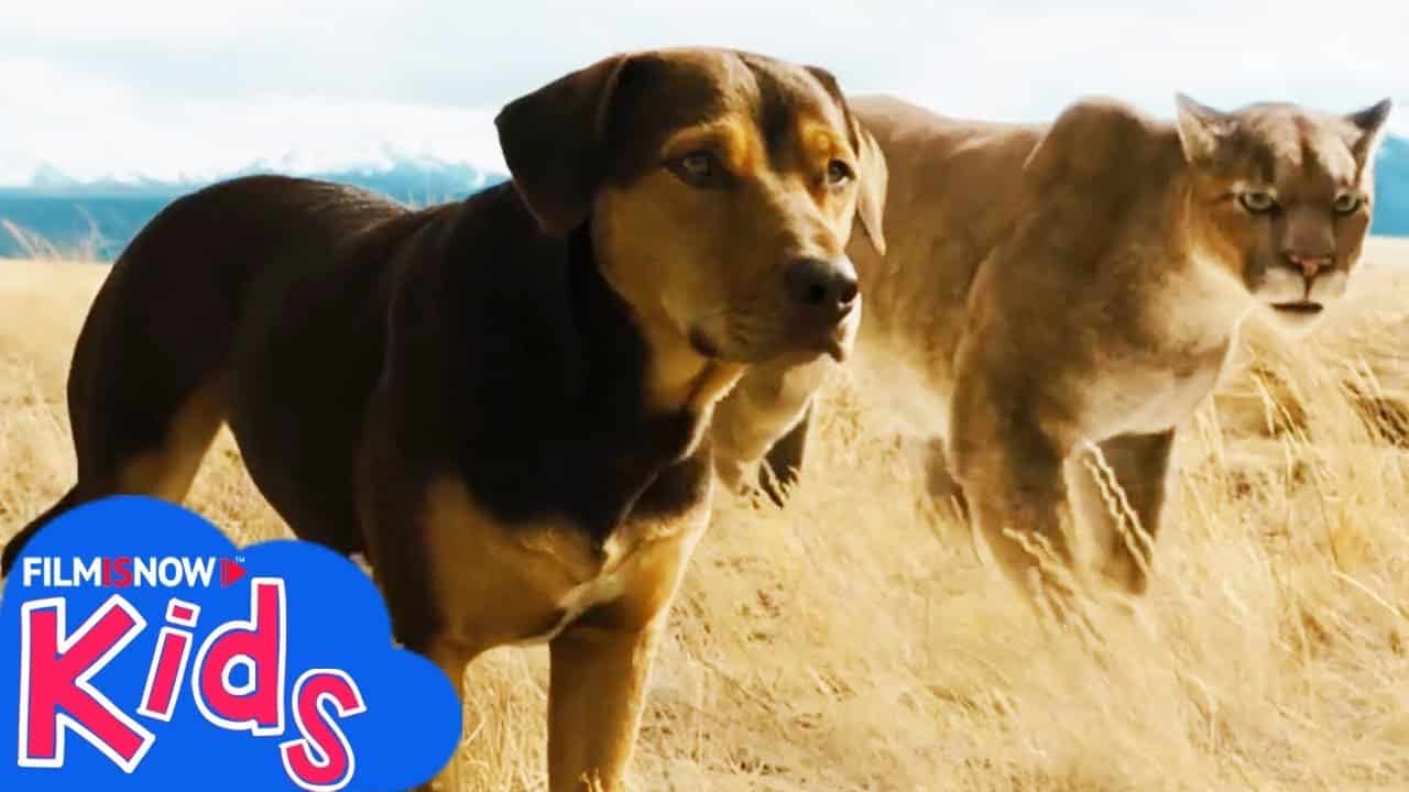 Un viaggio a quattro zampe: una cagnolina coraggiosa nello spot TV