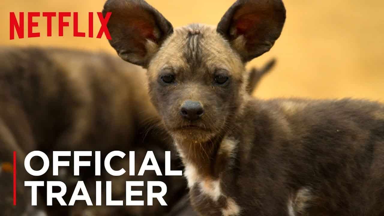 Il Nostro Pianeta: ecco il trailer della docu-serie Netflix