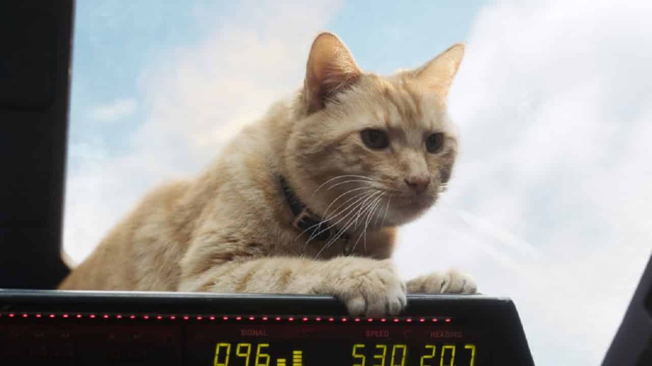 Captain Marvel: Samuel L. Jackson e Brie Larson sul gatto Goose