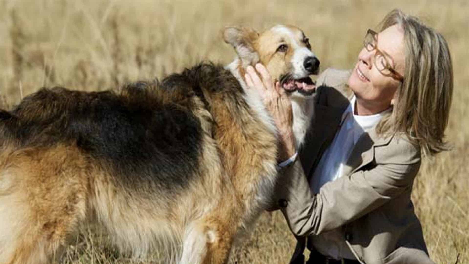 Darling Companion: le location del film con Diane Keaton
