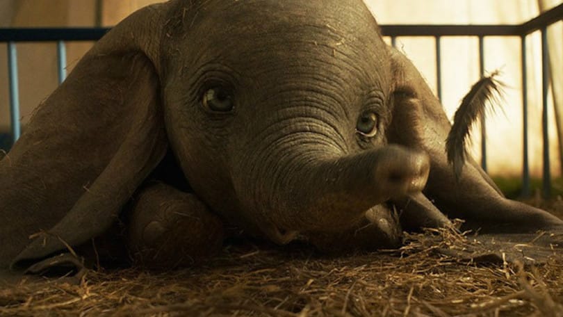 Dumbo: recensione del film di Tim Burton Cinematographe.it