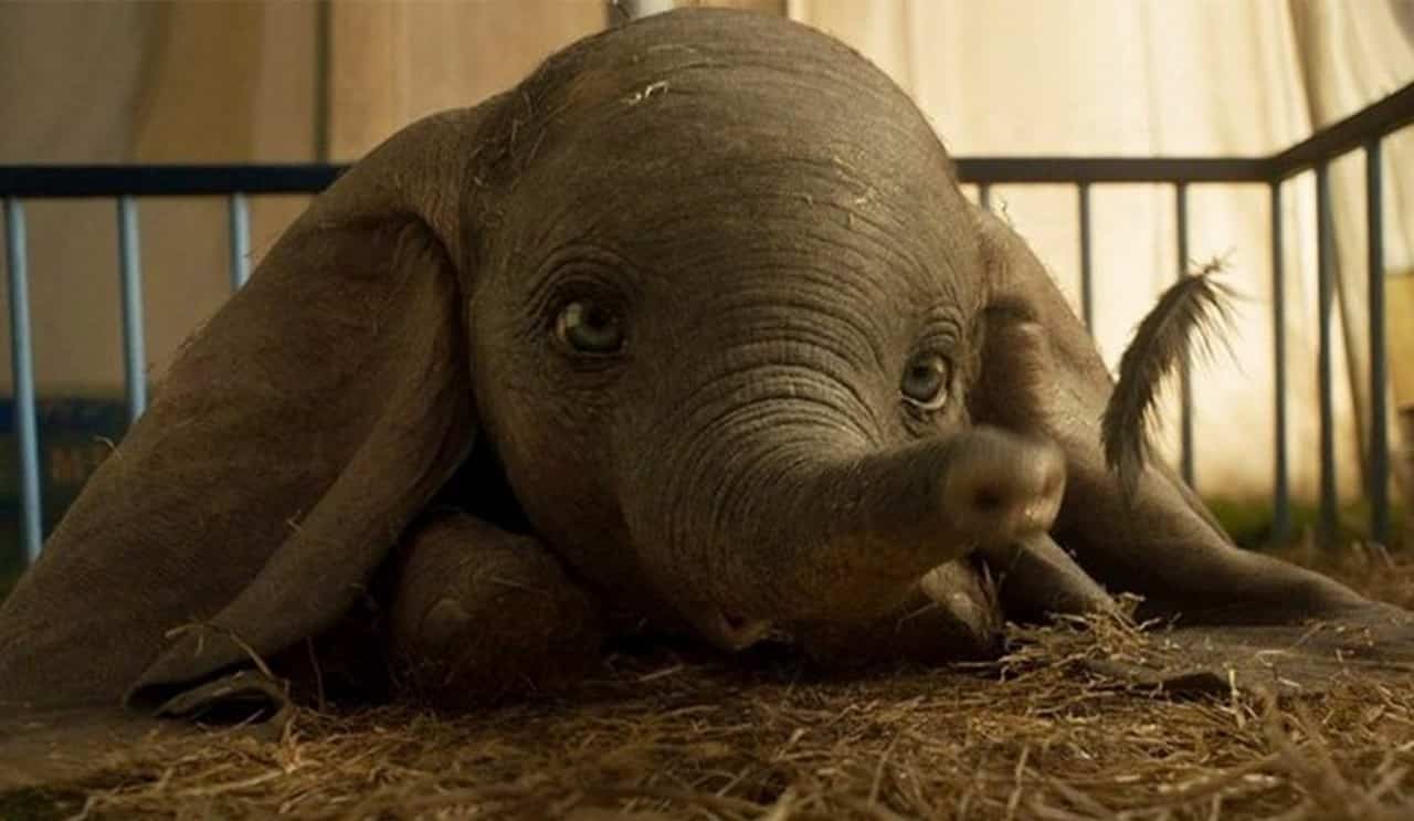 Box Office Italia: continua il grande successo di Dumbo