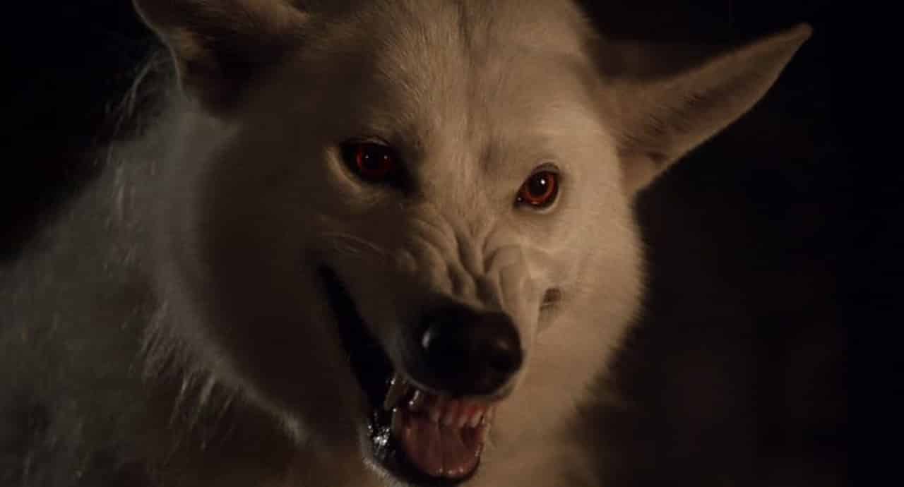 Ghost-Dire-Wolf-Game-of-Thrones