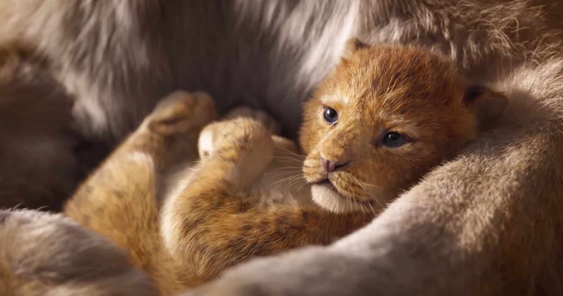 Il Re Leone: Simba torna a casa nel nuovo spot tv italiano