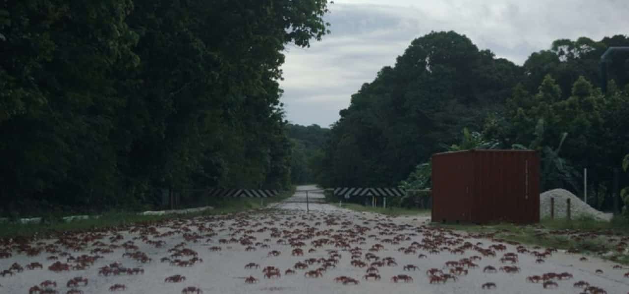 Island of the hungry ghosts - Cinematographe.it