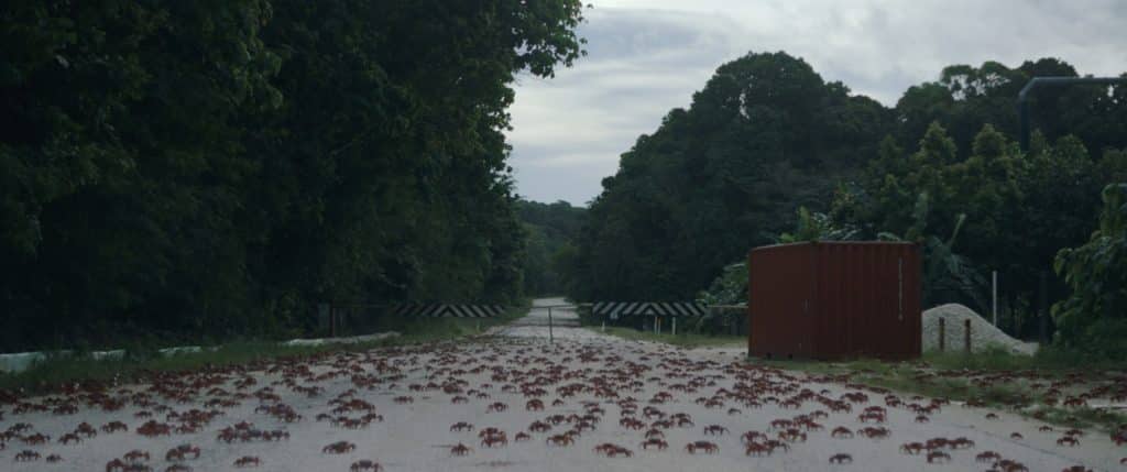 Island of the hungry ghosts: recensione del documentario di Gabrielle Brady