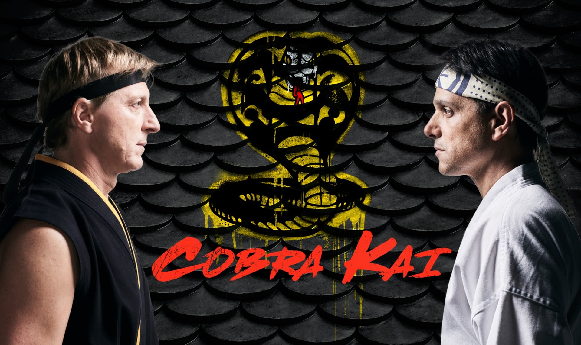 Cobra Kai Stagione 4: le riprese sono iniziate tra conferme e nuovi arrivi