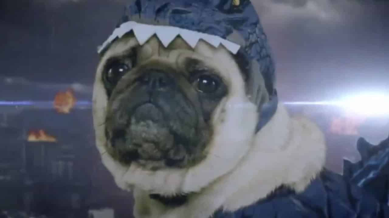 Godzilla II: King of the Monsters – non perdetevi il divertente trailer Pugzilla