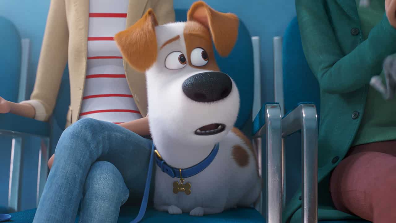 recensione Pets 2 - Vita da animali cinematographe.it