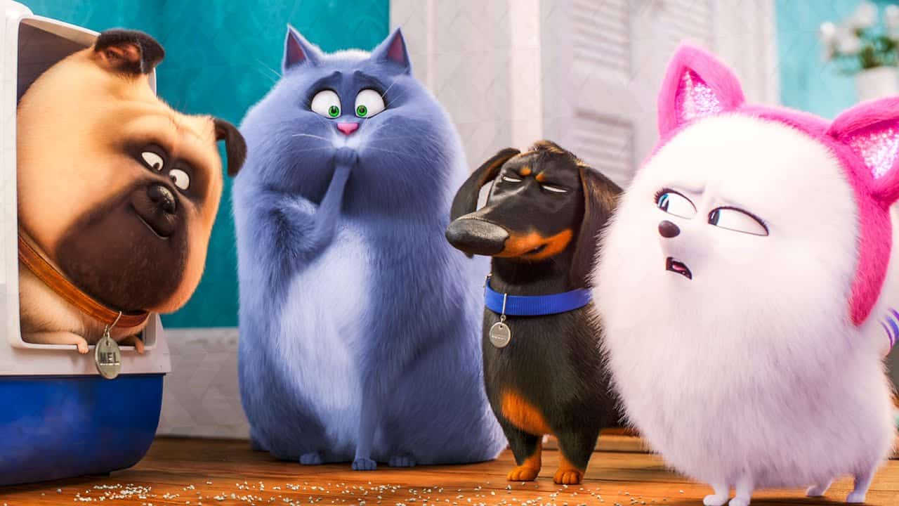 recensione Pets 2 - Vita da animali cinematographe.it