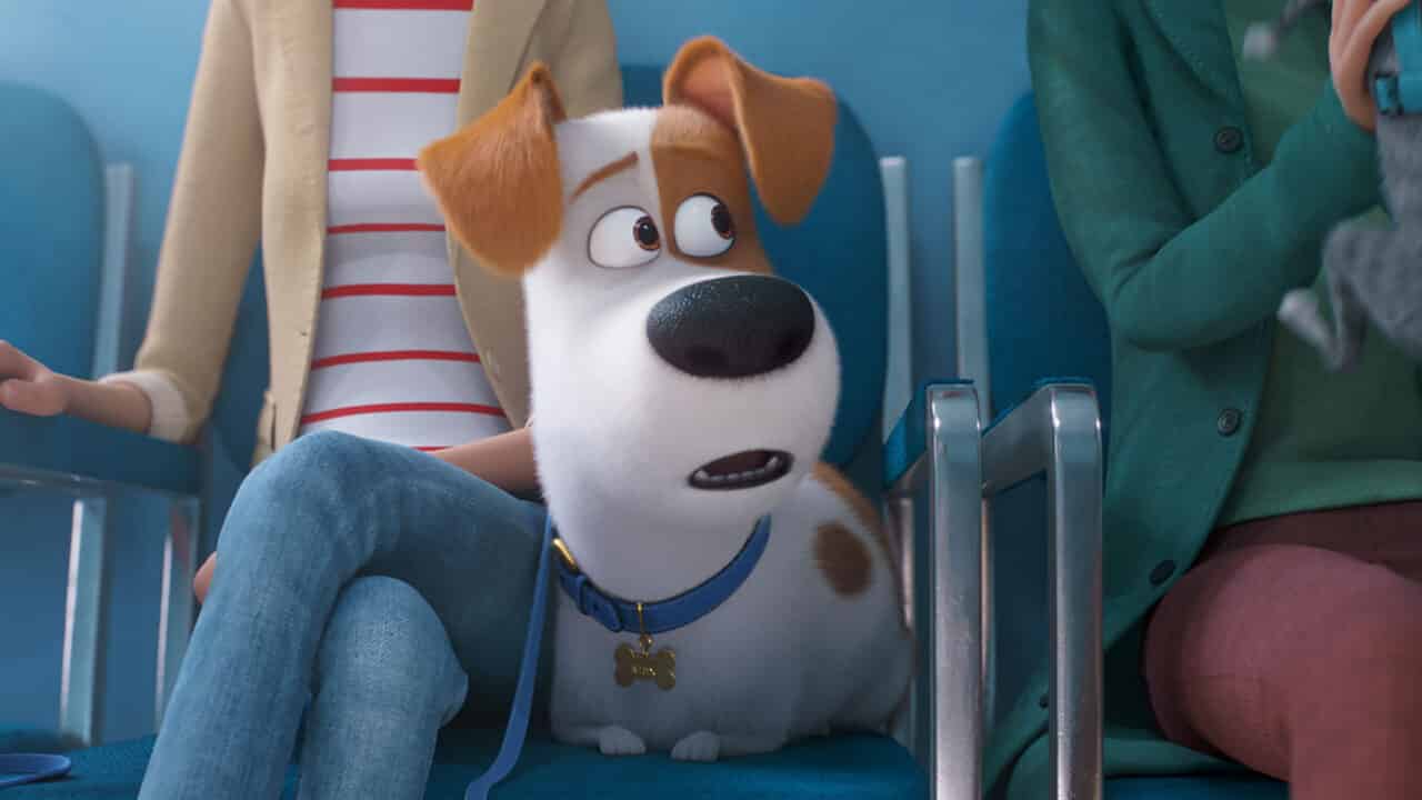 Pets 2 – Vita da animali: -Max, Cinematographe