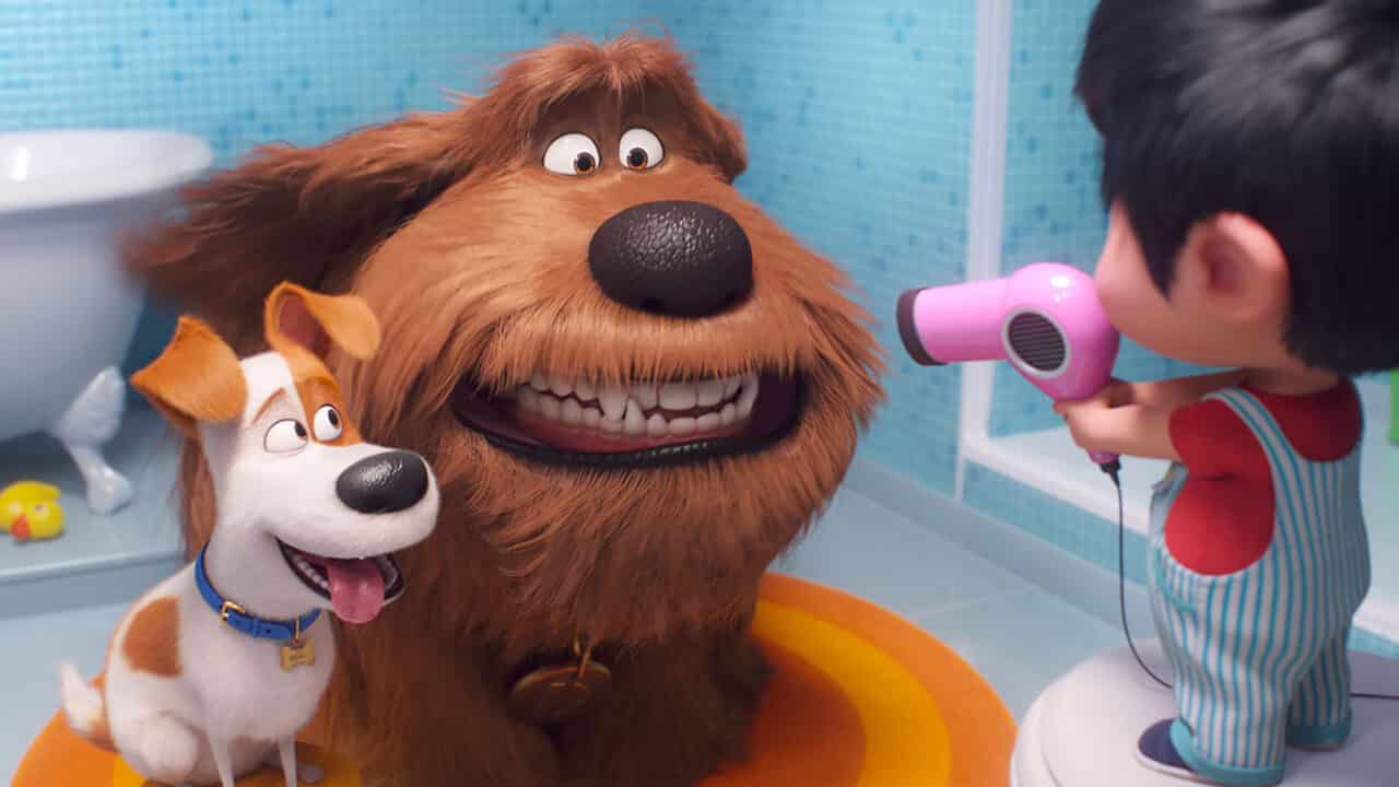 Pets 2 – Vita da animali: -Max e Duke, Cinematographe