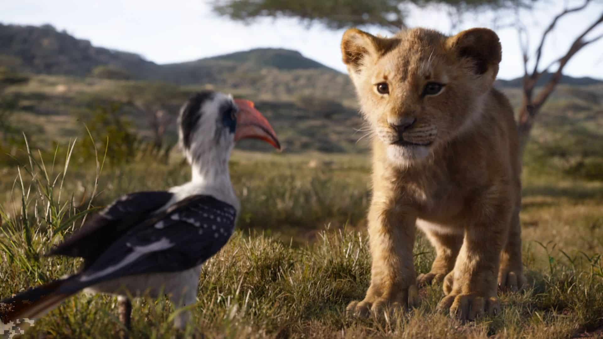 Il re leone: gli interpreti a confronto con i propri ruoli nelle nuove immagini