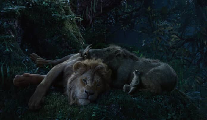 Il Re Leone, cinematographe.it Il Re Leone, cinematographe.it