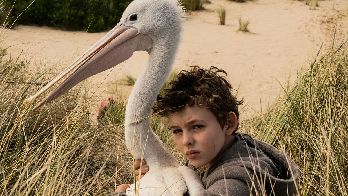 Storm Boy: recensione del film