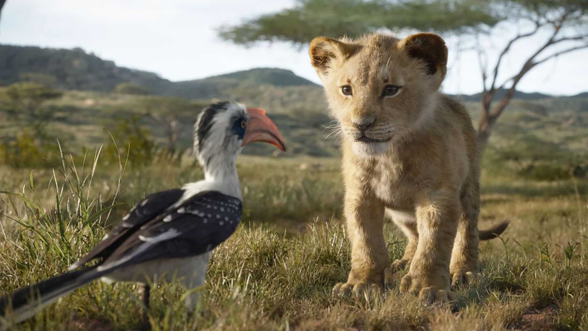 Il re leone: il live action incassa 269 milioni al box office nel weekend