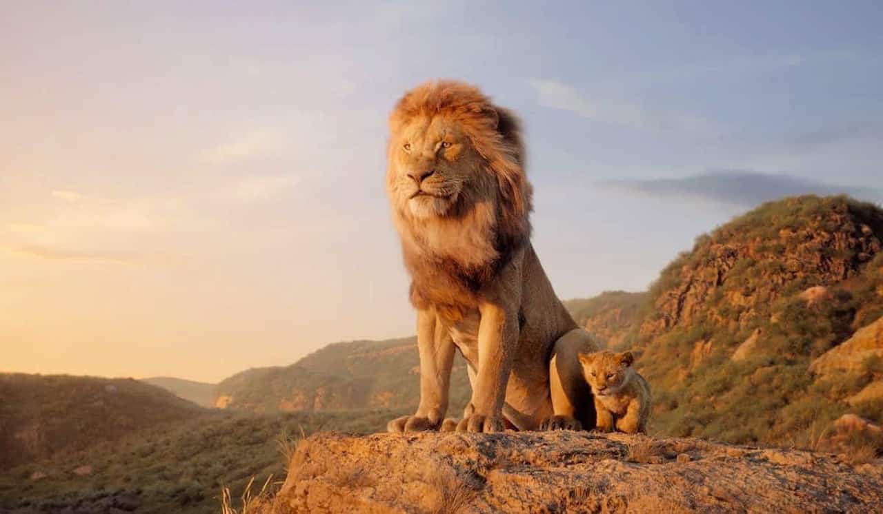 Il re leone (2019): recensione del film Disney - Cinematographe.it