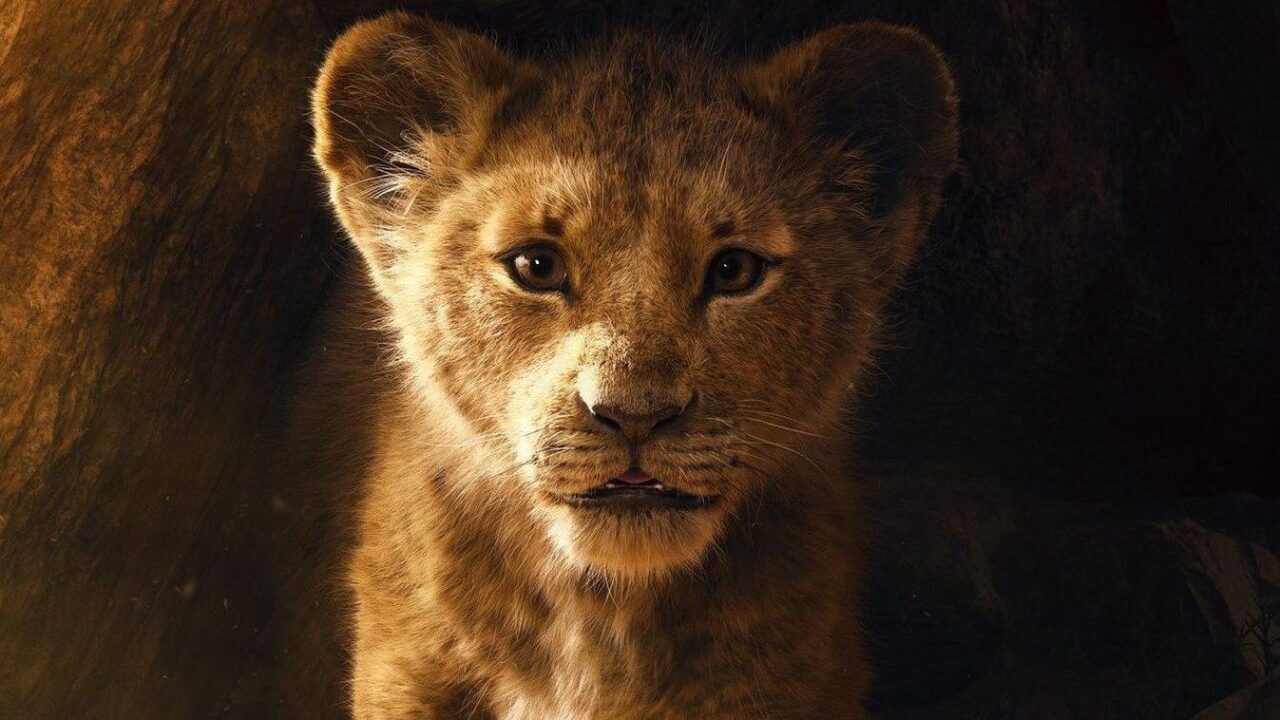 Il Re Leone: il live-action Disney da dicembre in Home Video