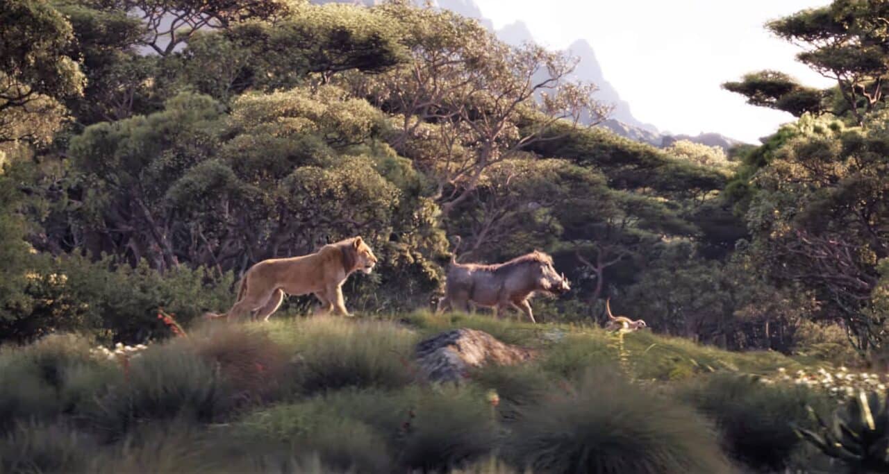 il re leone 2019 colonna sonora cinematographe.it