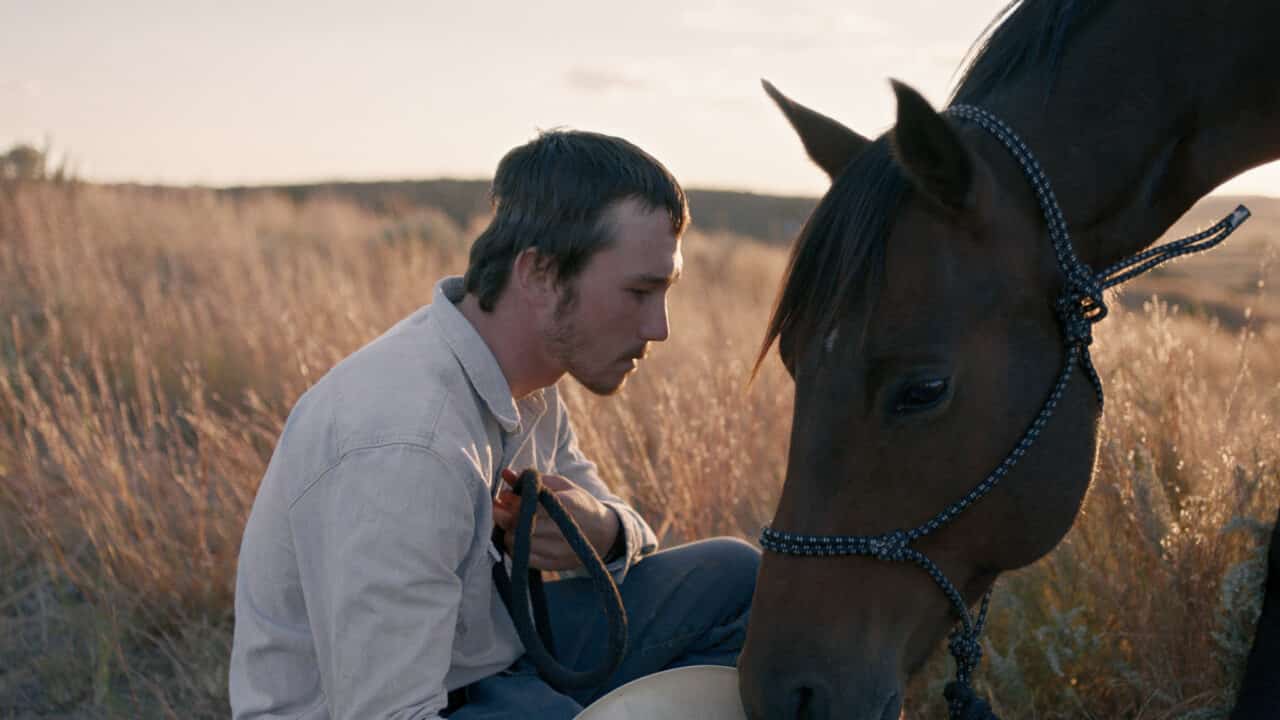 The Rider - Il Sogno di un Cowboy cinematographe.it