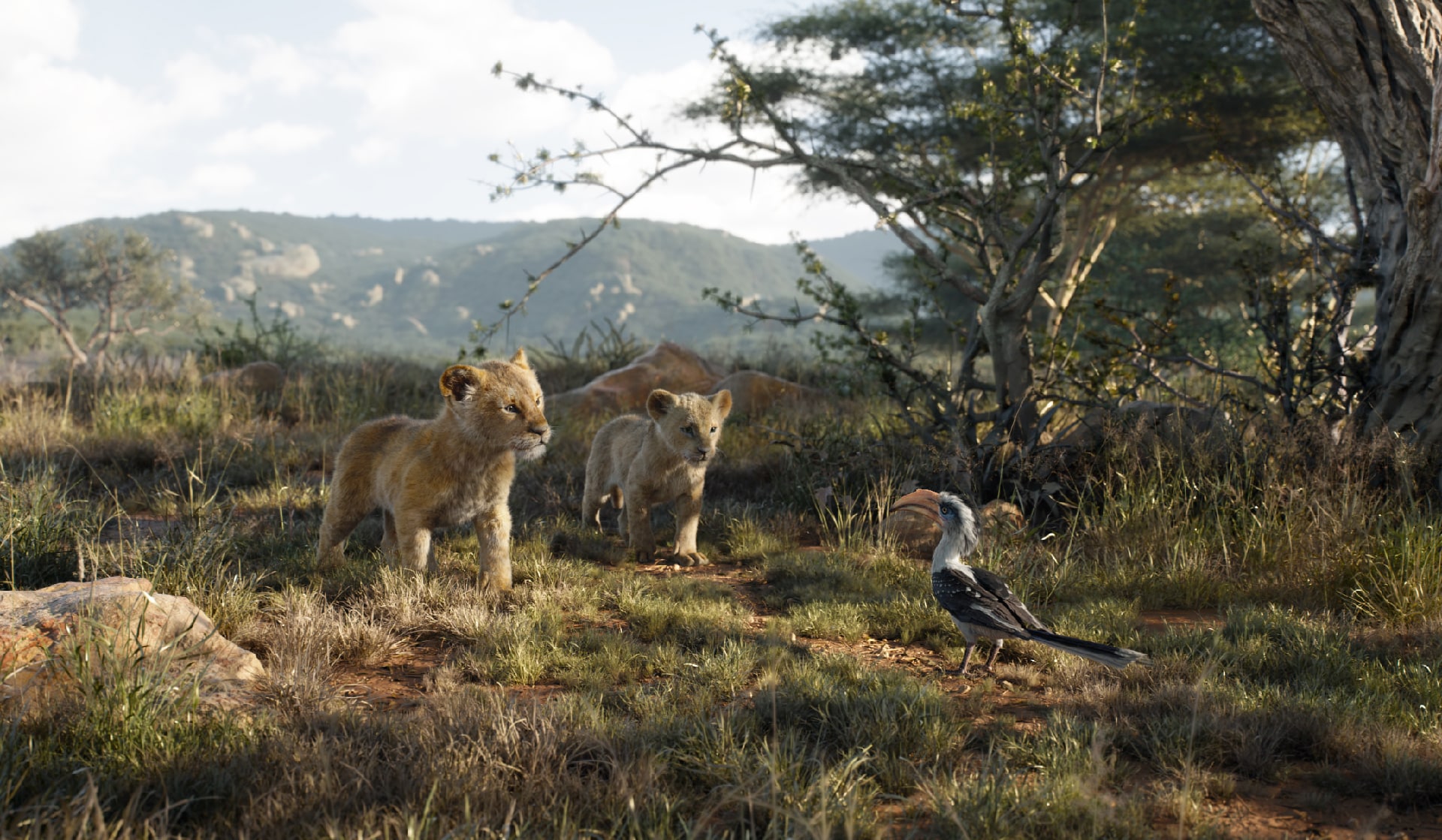 Box Office Italia: di nuovo oltre 10 milioni di euro per Il Re Leone