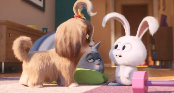 Pets 2 - Vita da animali, cinematographe.it Pets 2 - Vita da animali, cinematographe.it