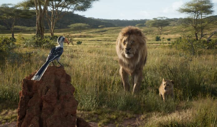 Il Re Leone, cinematographe.it Il Re Leone, cinematographe.it