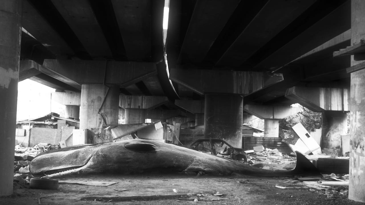 Le metamorfosi cinematographe.it