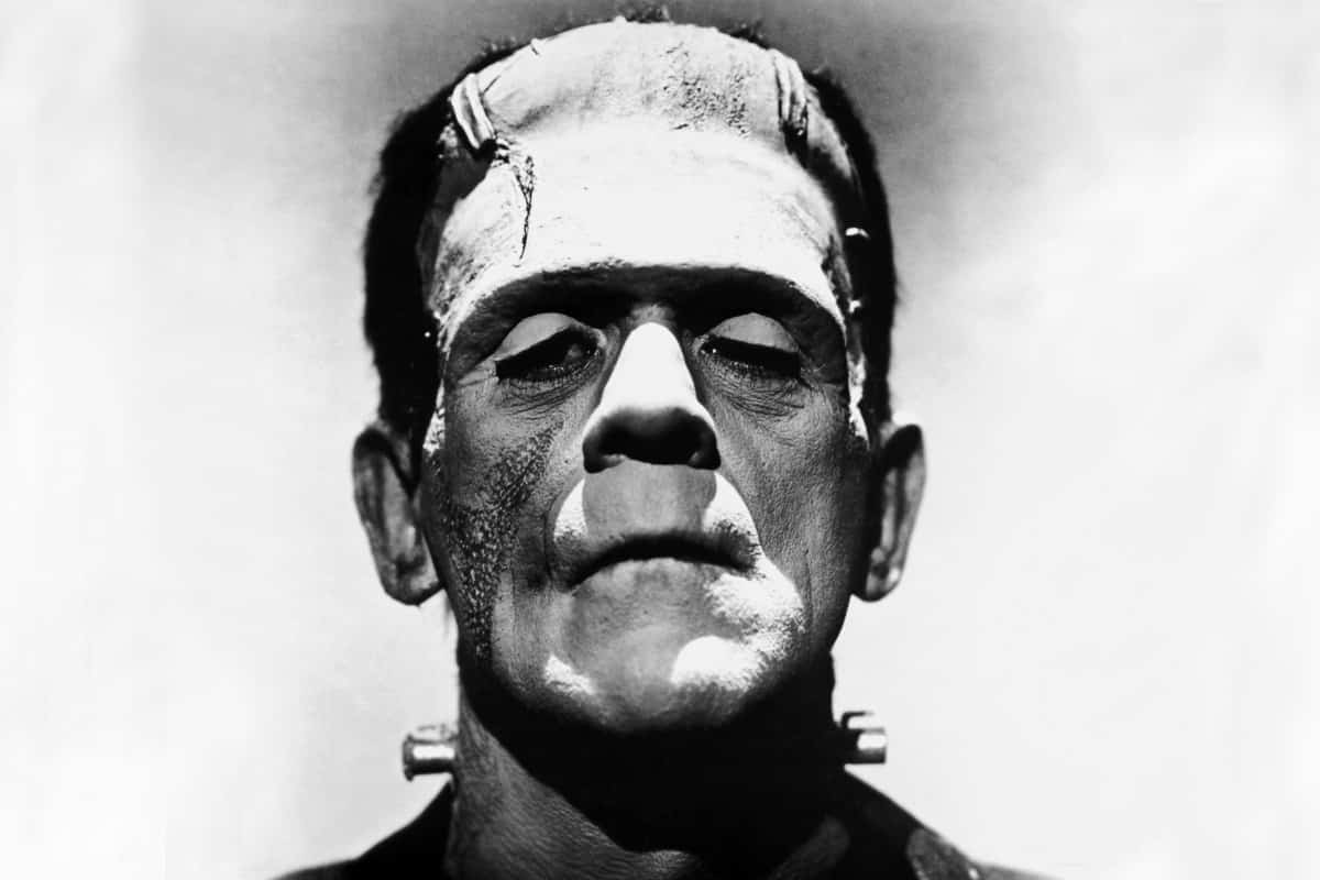 Frankenstein, cinematographe.it