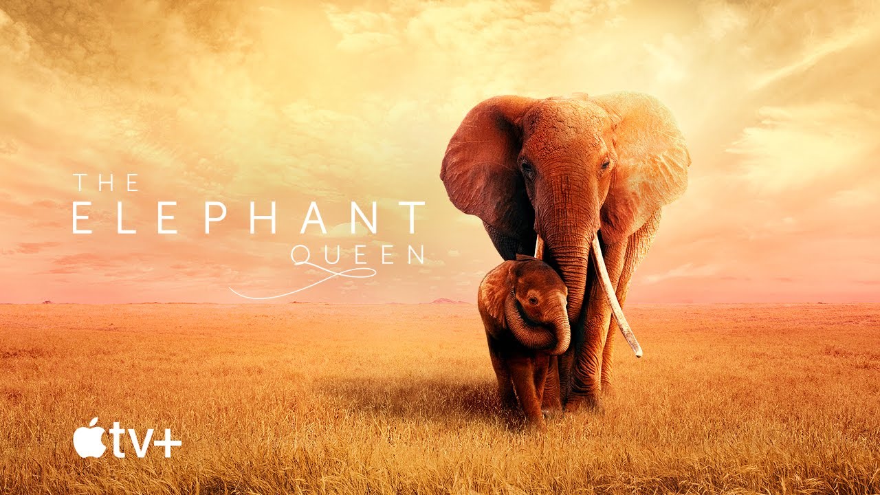 The Elephant Queen: il trailer del film in uscita su Apple TV+
