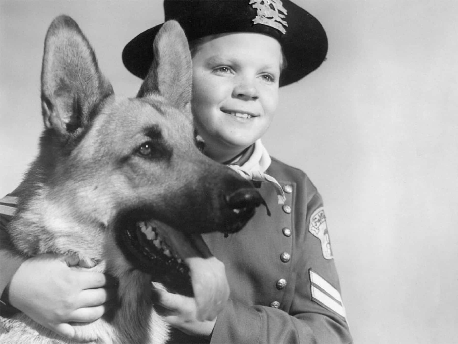 Rin Tin Tin la Warner Bros al lavoro un revival moderno in liveaction