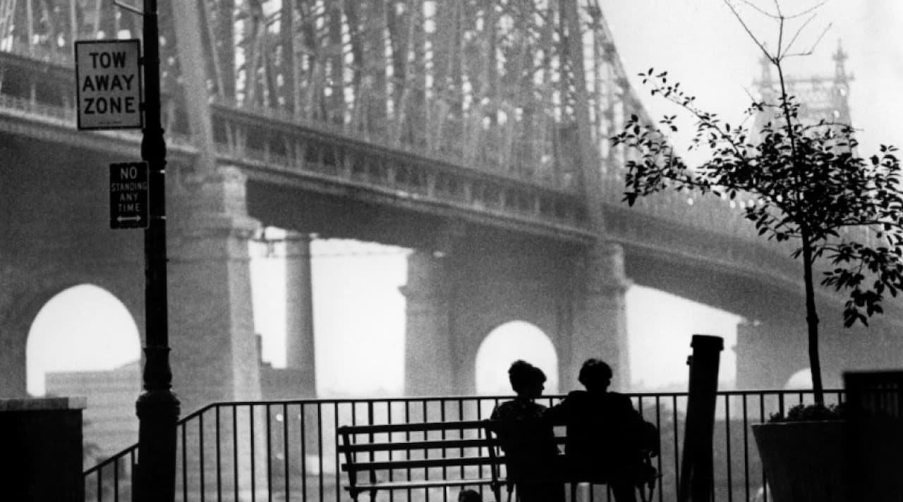 woody allen, cinematographe