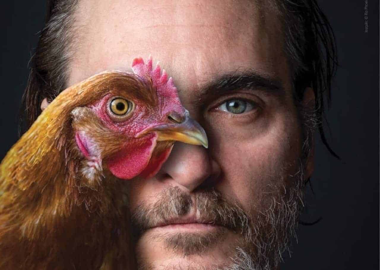 Joaquin Phoenix salva mucca e vitellino da un mattatoio [VIDEO]