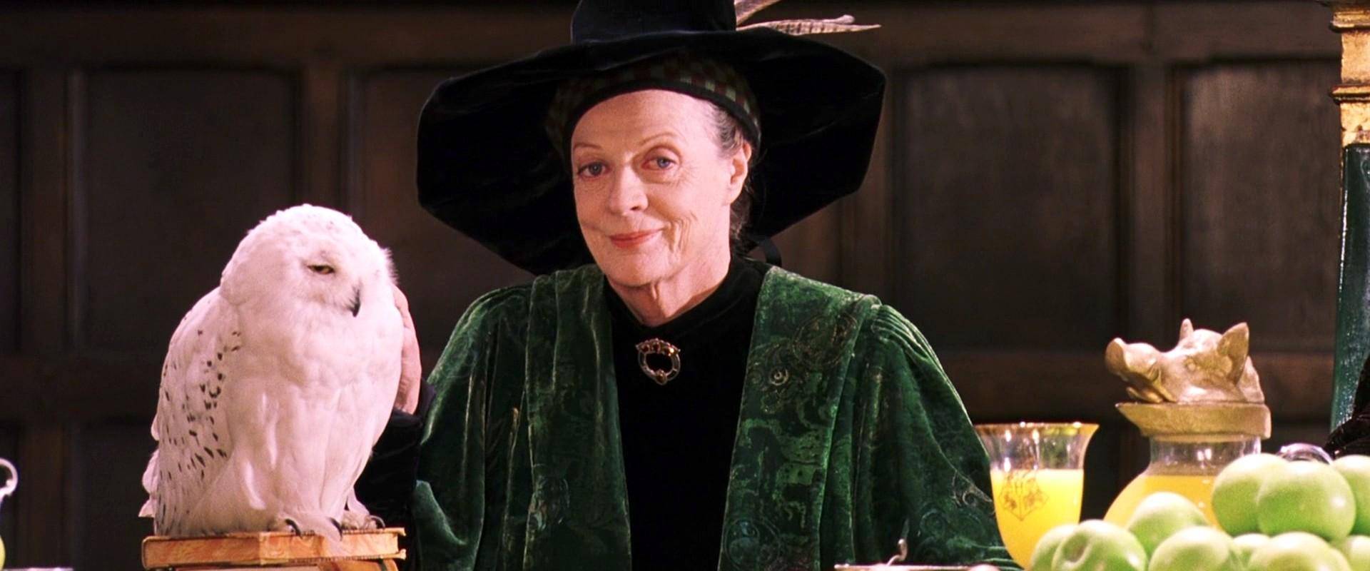 Maggie Smith: “Il mio ruolo in Harry Potter non era soddisfacente”