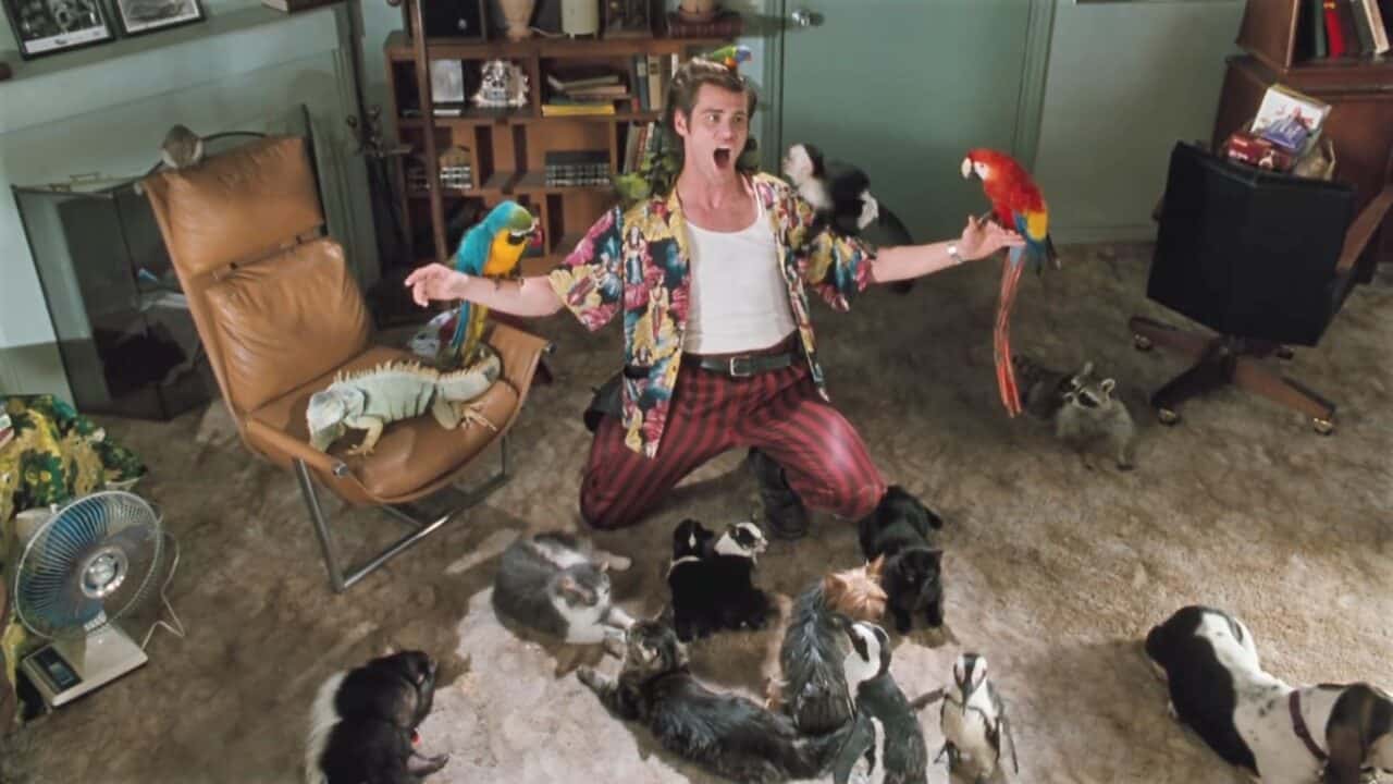 ace ventura acchiappanimali recensione film cinematographe.it