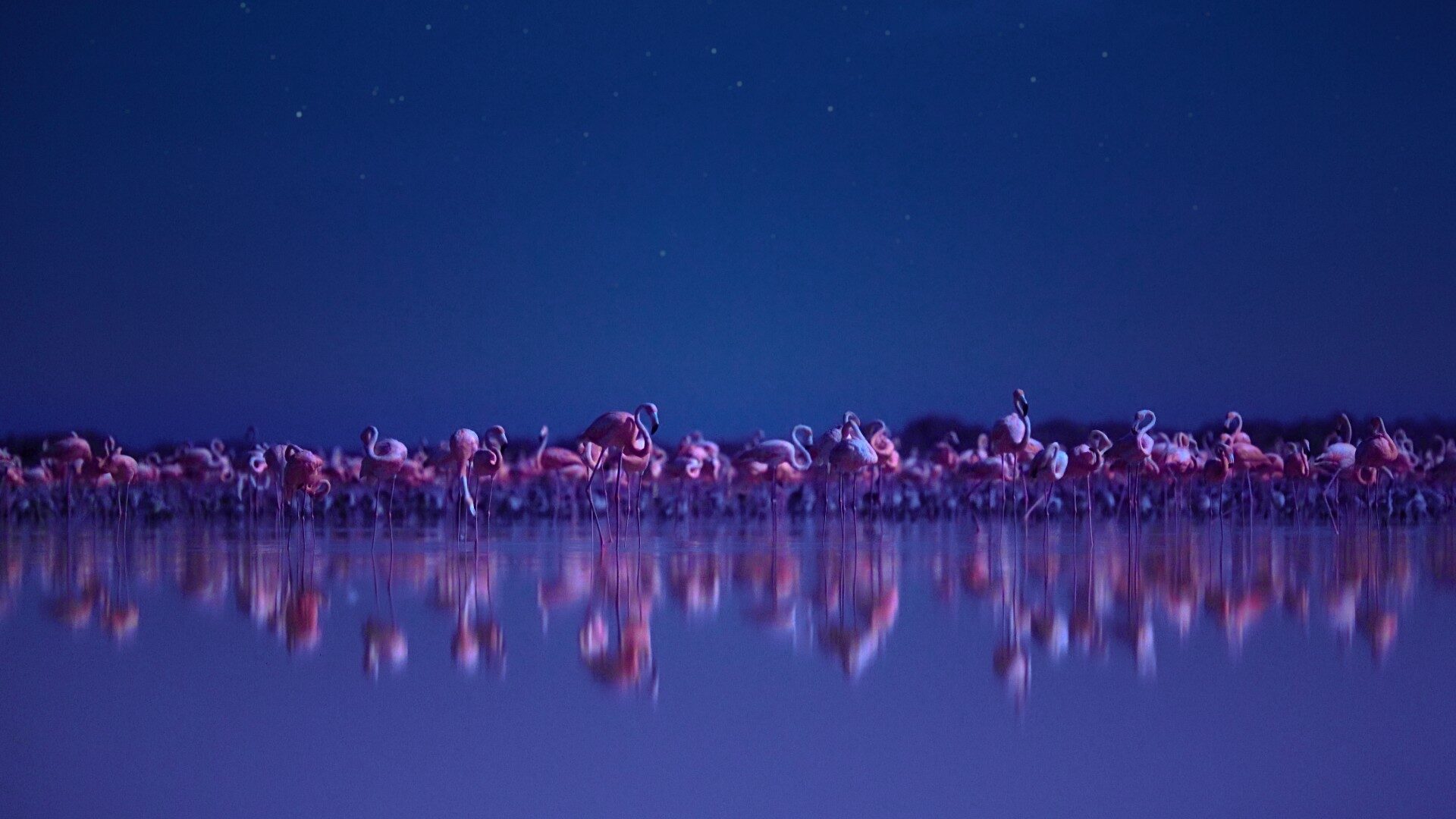 Notte sul Pianeta Terra-cinematographe.it 