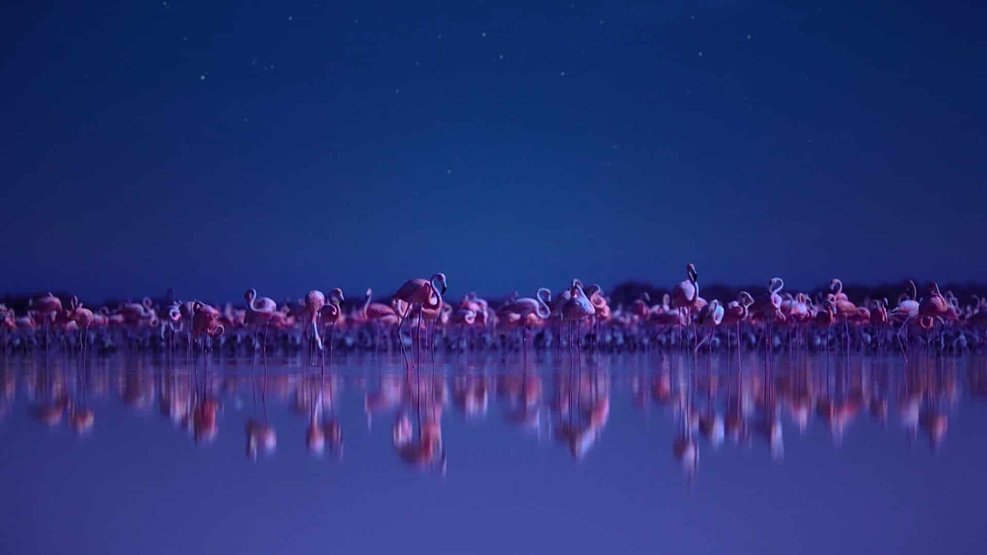Notte sul Pianeta Terra: ecco quando arriverà la nuova serie Netflix