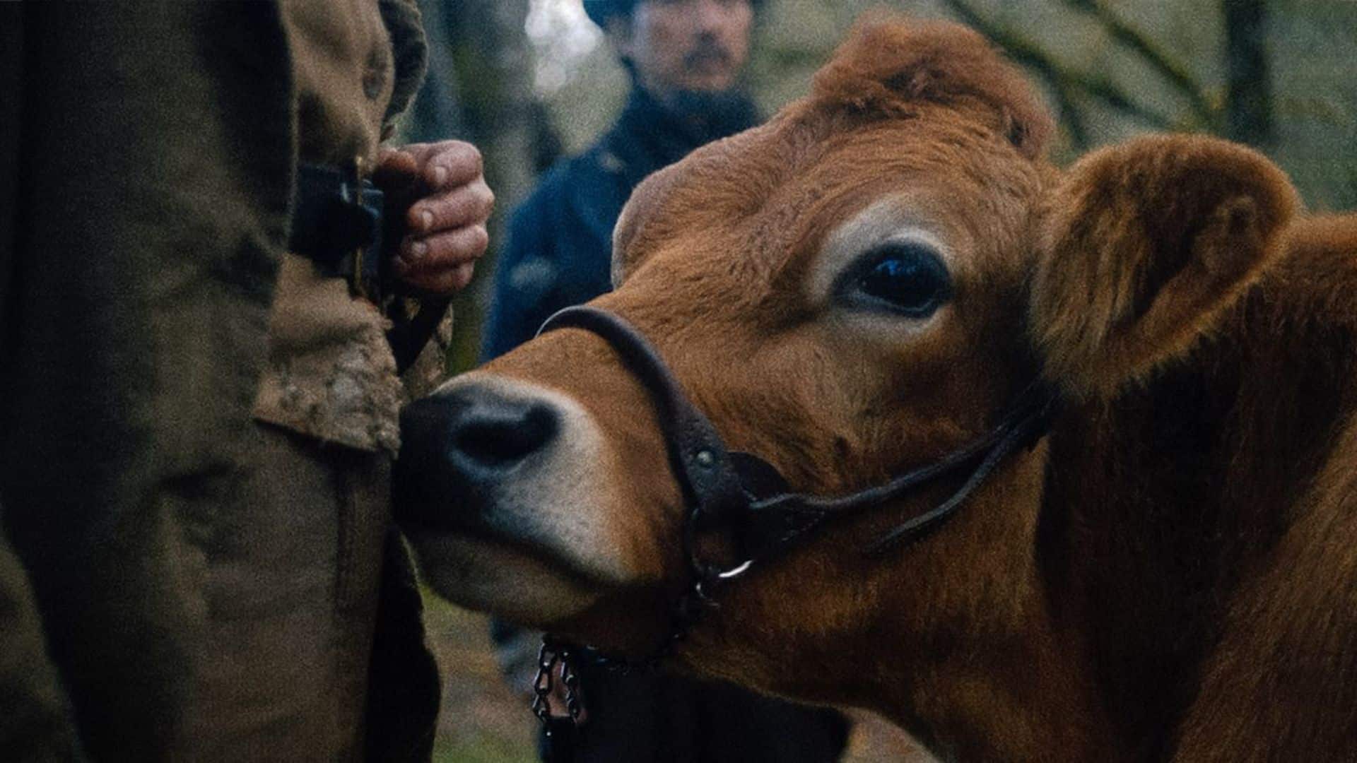 First Cow cinematographe.it