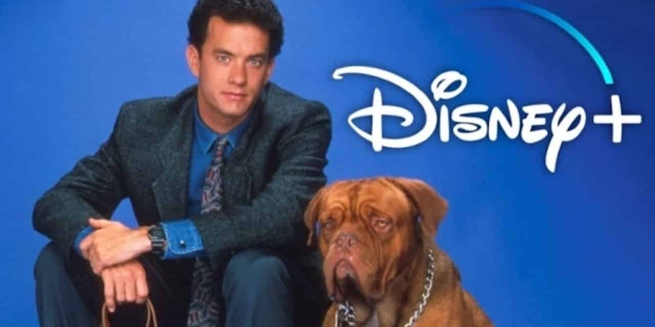 Turner e il casinaro: la serie Disney+ riceve un ordine ufficiale