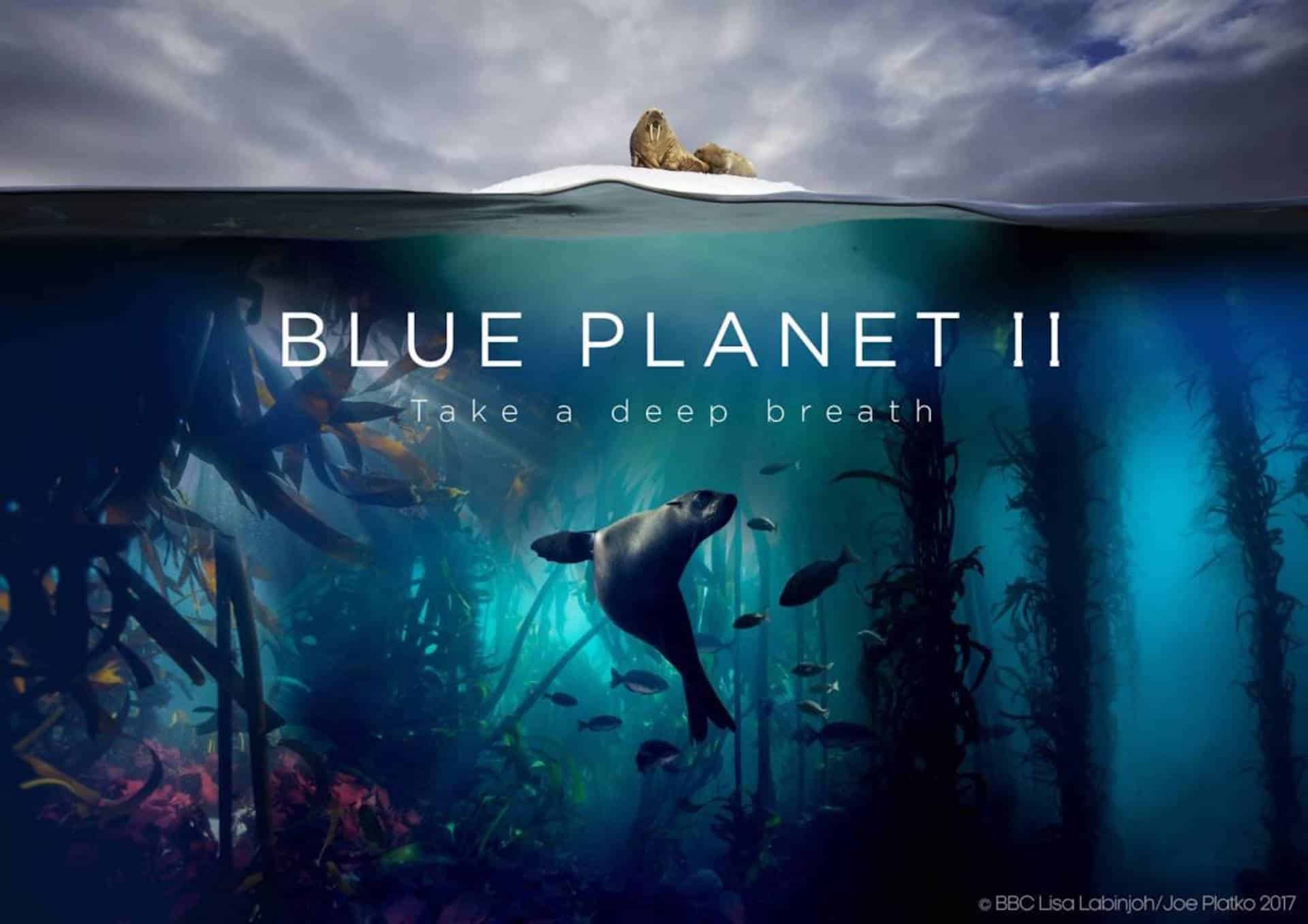 Blue Planet 2 in home video: foto e titoli degli episodi