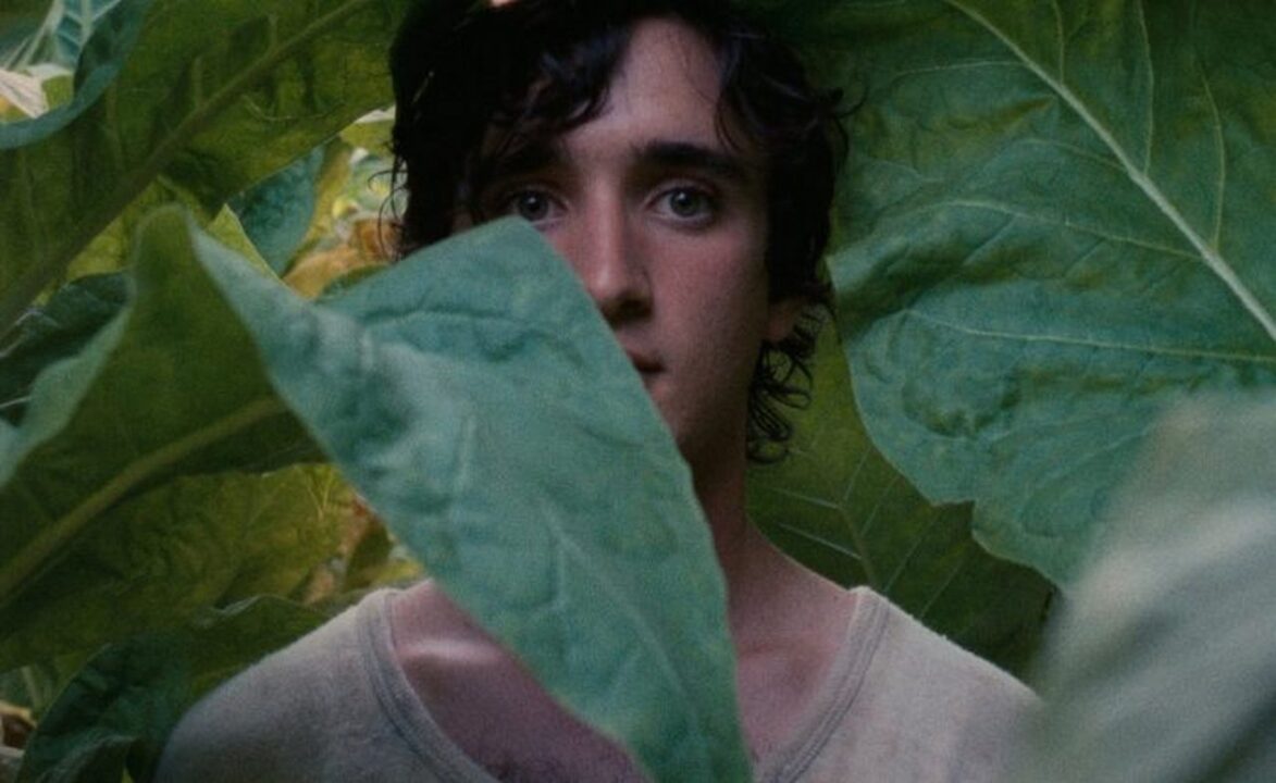 Lazzaro felice, Cinematographe.it