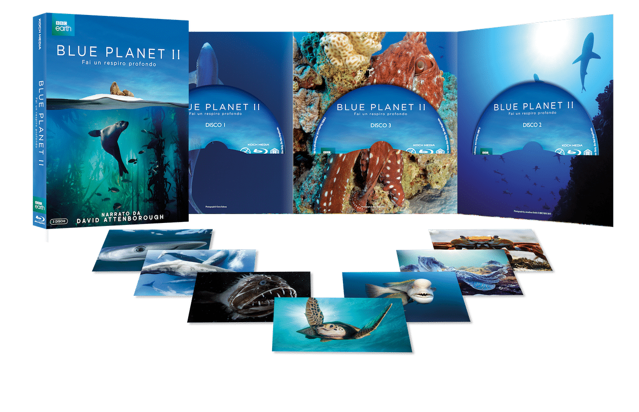 Blue Planet 2 cinematographe.it