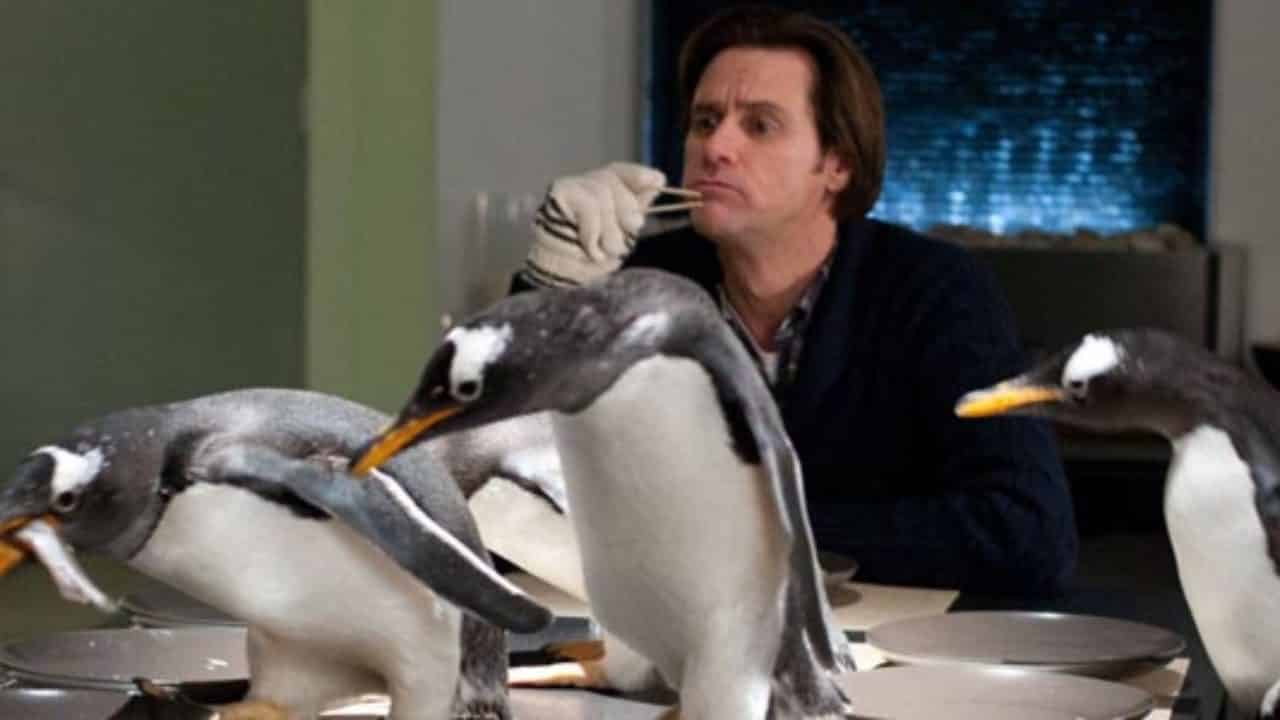 I pinguini di Mr. Popper, Cinematographe.it