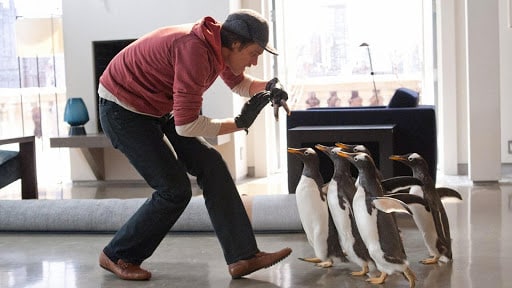 I pinguini di Mr. Popper, Cinematographe.it