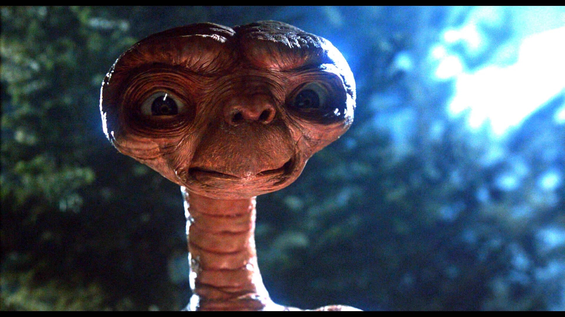 E.T. L'extra-terrestre: 10 curiosità sul film di Steven Spielberg -  Cinematographe.it