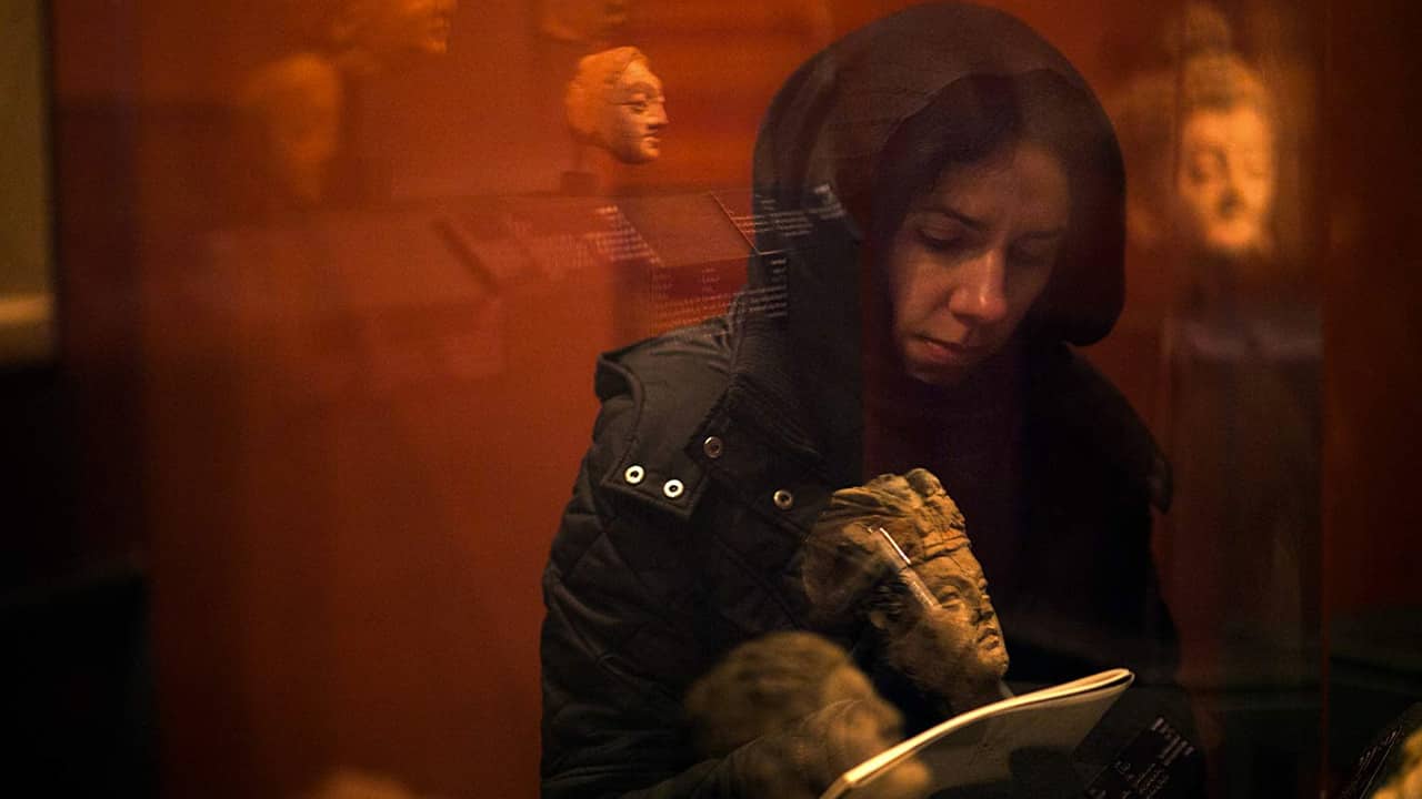 A dog called Money: la recensione del documentario con PJ Harvey
