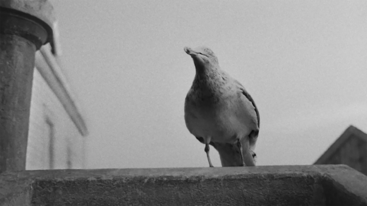 The Lighthouse, cinematographe.it