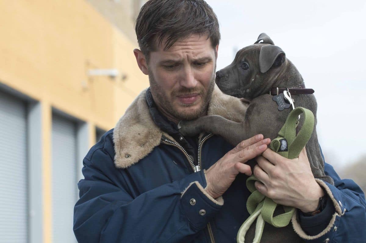 Chi è senza colpa: il finale del film con Tom Hardy