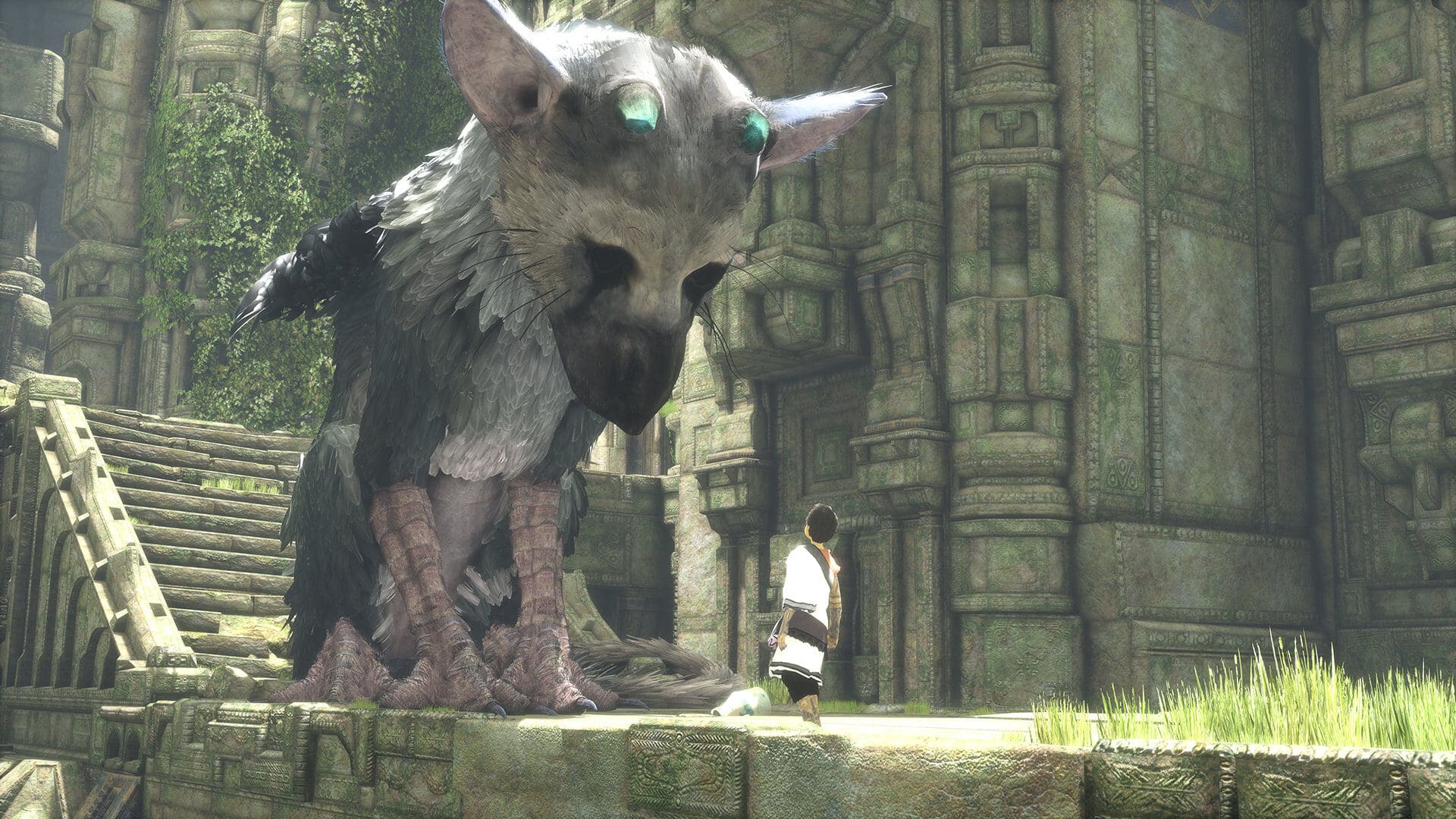 the last guardian - cinematographe.it 