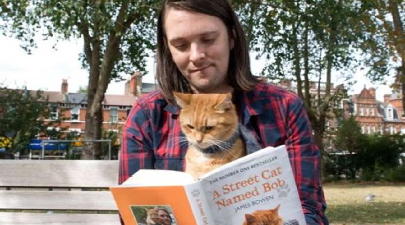A spasso con Bob: morto il gatto rosso protagonista del film, aveva 14 anni